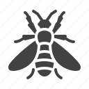 bee, honeybee, insect