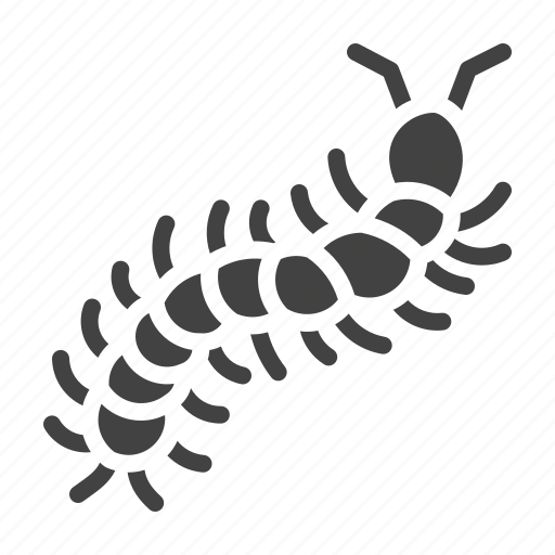 Centipede, insect, pest icon - Download on Iconfinder