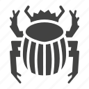 beetle, bug, dung, insect, scarab
