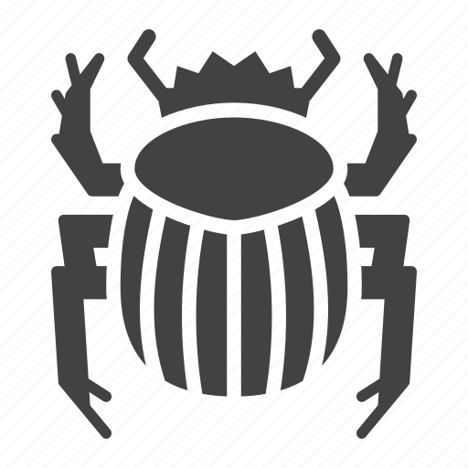 Beetle, bug, dung, insect, scarab icon - Download on Iconfinder