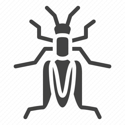 Cricket, grasshopper, insect icon - Download on Iconfinder