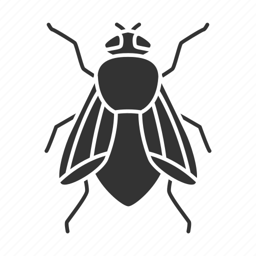 Domestica, fly, housefly, insect, musca, parasite, pest icon - Download on Iconfinder