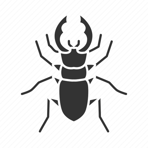Beetle, bug, deer, insect, lucanus, servus, stag icon - Download on Iconfinder