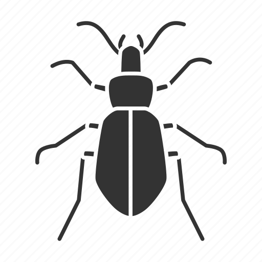 Animal, beetle, bug, carabidae, ground, insect, nature icon - Download on Iconfinder