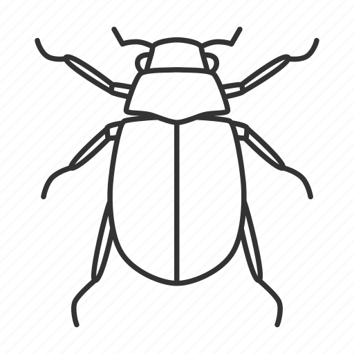 Arthropoda, beetle, bug, chafer, insect, junebug, melolontha icon - Download on Iconfinder
