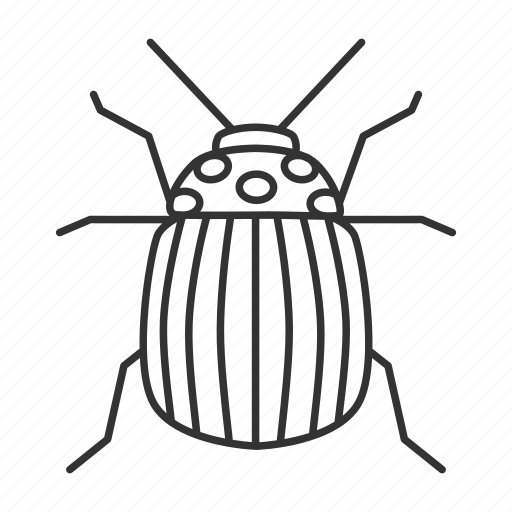 Animal, beetle, bug, colorado, insect, pest, potato icon - Download on Iconfinder