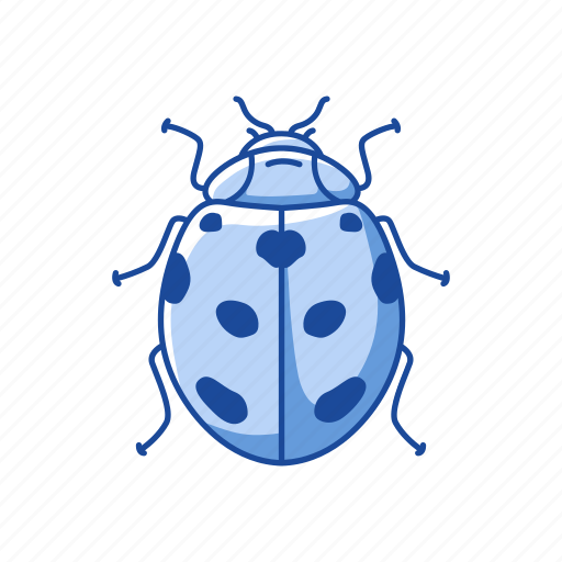 Animal, bug, insects, lady beetle, lady bird, lady bug icon - Download on Iconfinder