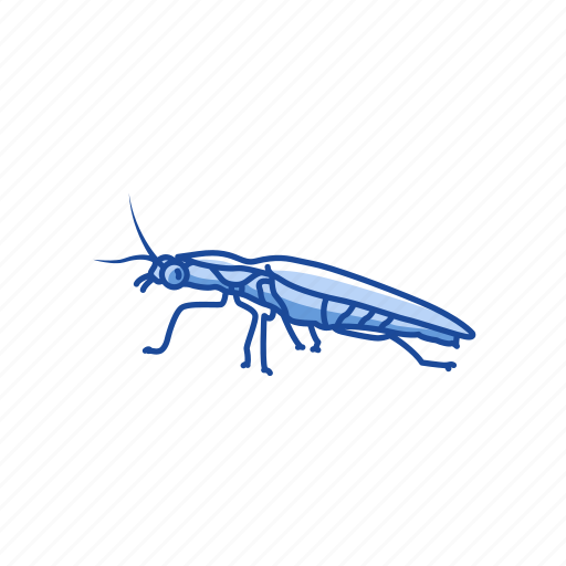 Animal, body lice, head lice, insects, pest, termites icon - Download on Iconfinder