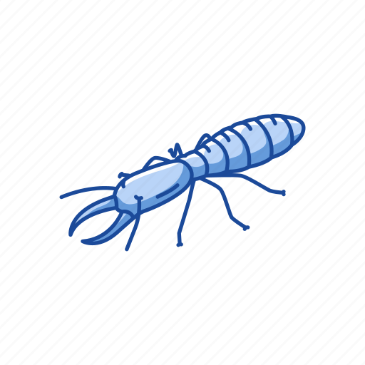 Animal, body lice, head lice, insects, lice, termites icon - Download on Iconfinder