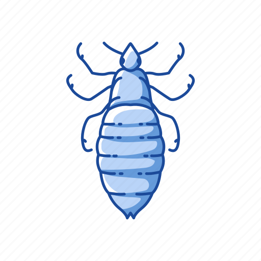 Animal, bed bug, blood-feeding, bug, insects, parasite, pet icon - Download on Iconfinder