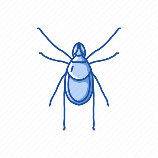 Animal, arachnids, hard tick, insets, parasite, scale tick, tick icon - Download on Iconfinder