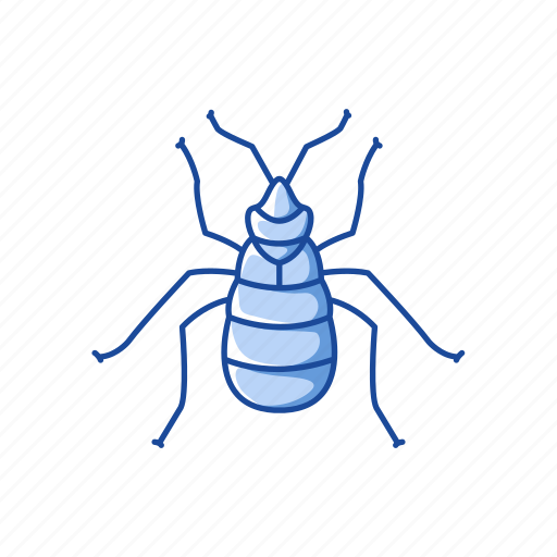 Animal, bed bug, blood-feeding, bug, insects, parasite, pet icon - Download on Iconfinder