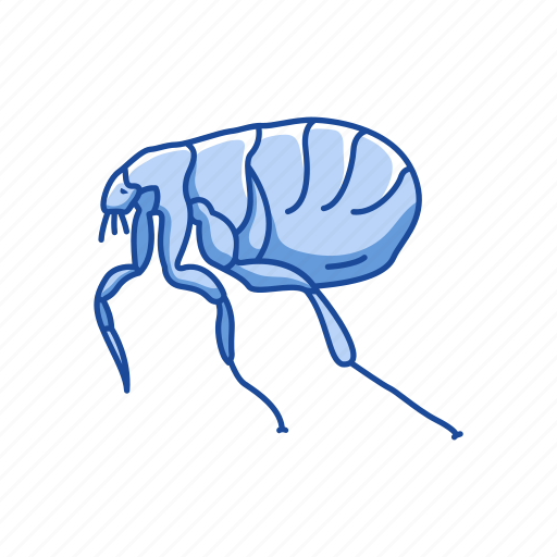 Animal, bloodsucker, flea, fleas, insects, parasite icon - Download on Iconfinder