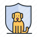 dog, shield, animals, pet insurance