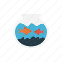 bowl, fish, interior, pet, water