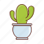 cactus, plant, interior, decor, home 