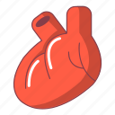anatomy, artery, cartoon, heart, human, love, organ