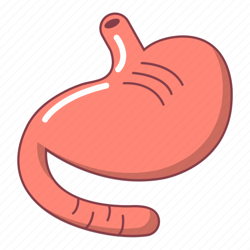 Anatomy, biology, cartoon, digestive, food, logo, stomach icon - Download on Iconfinder