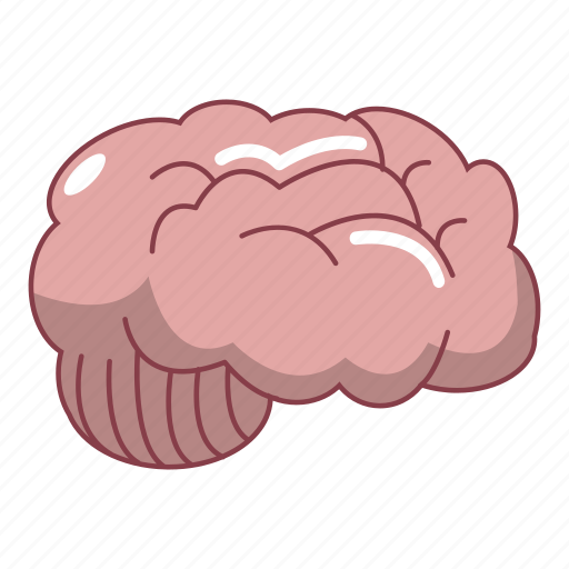 Anatomical, brain, cartoon, front, human, medical, nerve icon - Download on Iconfinder