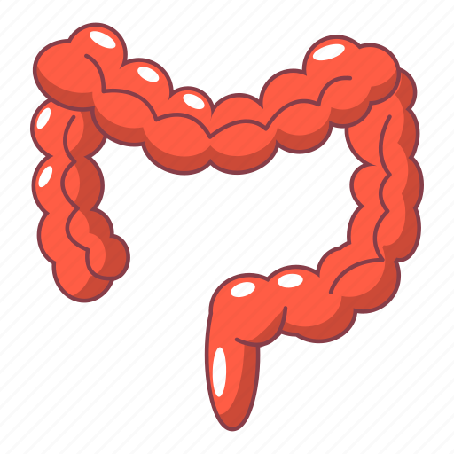 Gut, human, cartoon, intestine, large, gastrointestinal icon - Download on Iconfinder