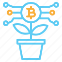 plant, growth, bitcoin, money, coin, payment, cryptocurrency, currency, blockchain