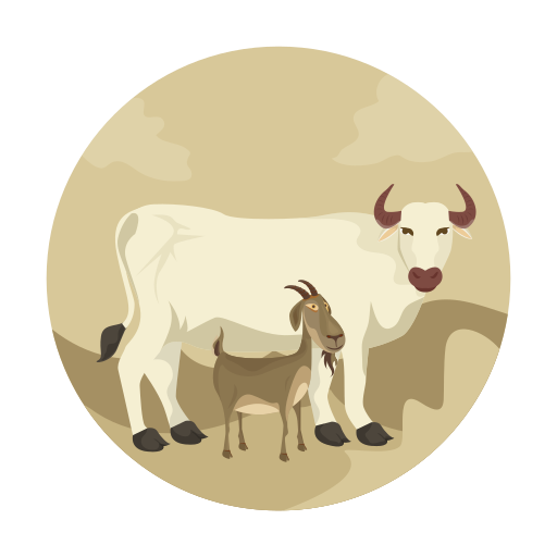 Animal, goat, cow, qurban, islamic, eid adha, islam icon - Free download