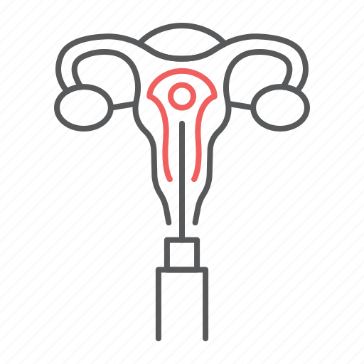 Embryo, transfer, pregnancy, ovary, uterus, injection icon - Download on Iconfinder