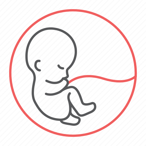 Fetus, embryo, pregnancy, baby, womb, stage icon - Download on Iconfinder