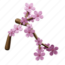 sakura, flowers 