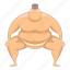 man, people, sumo, wrestler 