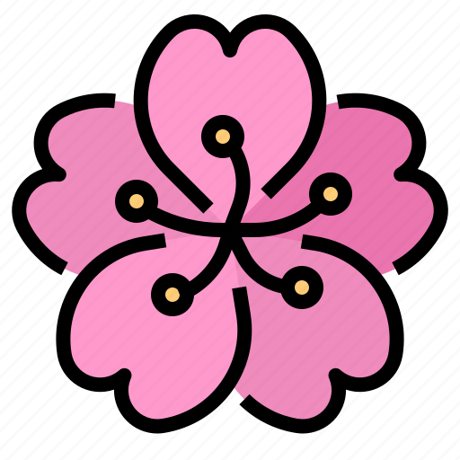 Asia, flower, gift, japan, sakura icon - Download on Iconfinder