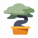asia, bonsai, bonsai tree, garden, gardening, plant, traditional