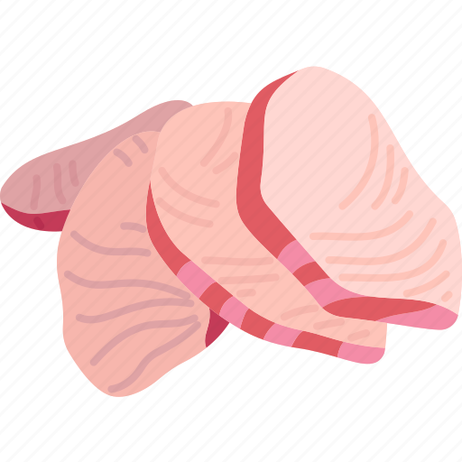 Hamachi, fish, fillet, sashimi, seafood icon - Download on Iconfinder