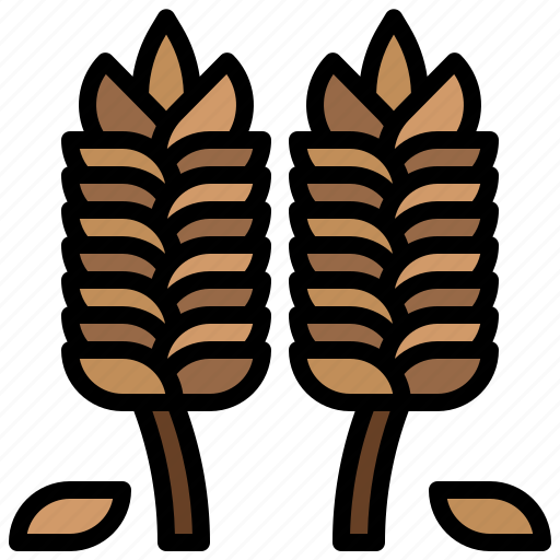 Barley, cereal, hebrew, israel, jewish, judaism, religion icon - Download on Iconfinder