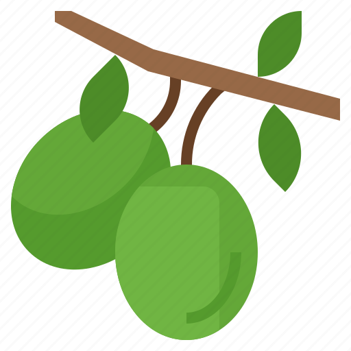 Olives, olive tree icon - Download on Iconfinder