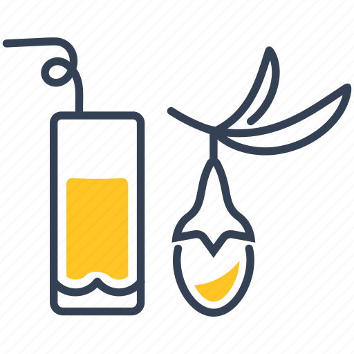 Drink, juice, kumquat icon - Download on Iconfinder
