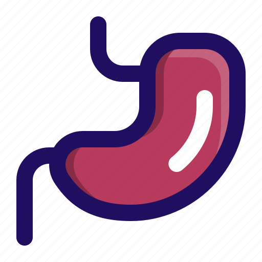Anatomy, body, human, organ, stomach icon - Download on Iconfinder