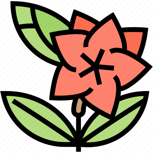 Lilium, flower, blossom, floral, nature icon - Download on Iconfinder