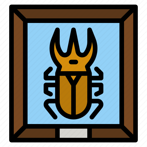 Insect, collection, entomology, box, animal icon - Download on Iconfinder