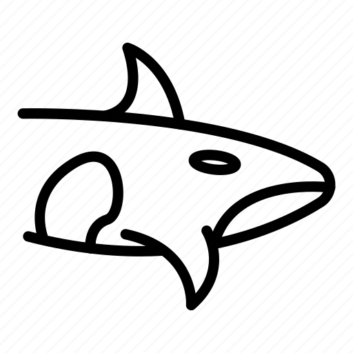 Orca, killer, whale icon - Download on Iconfinder