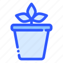 pot, plant, potted, houseplant, leaf