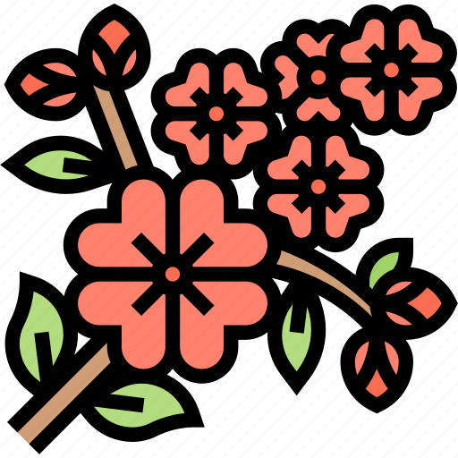 Cherry, blossom, spring, flower, nature icon - Download on Iconfinder