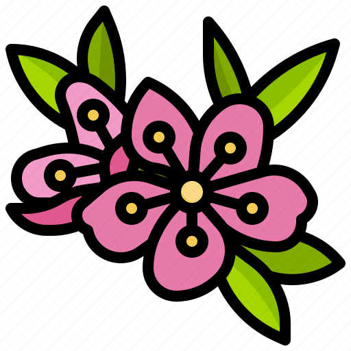 Cherry, blossom, sakura, flower, spring, plant icon - Download on Iconfinder