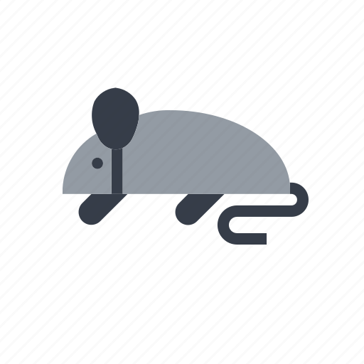 Biology, education, laboratory, mouse, research, science icon - Download on Iconfinder