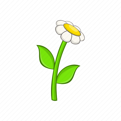Cartoon, chamomile, floral, flower, plant, spring, white icon - Download on Iconfinder