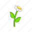 cartoon, chamomile, floral, flower, plant, spring, white 