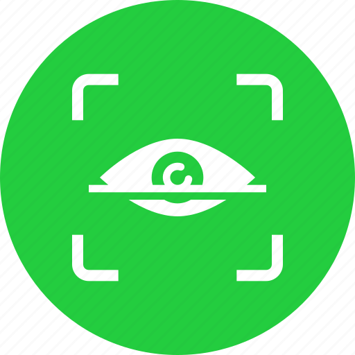 Eye, password, protection, retina, safe, scan, security icon - Download on Iconfinder