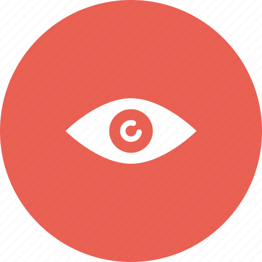 Brother, eye, secret, spy, view, watch icon - Download on Iconfinder
