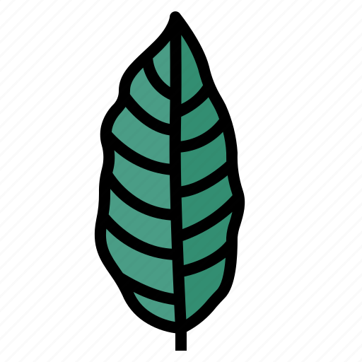 Leaves, leaf, plant, botanical, nature icon - Download on Iconfinder