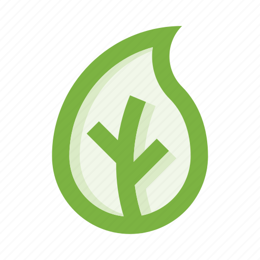 Leaf, nature, plant, ecology, herb, foliage, botany icon - Download on Iconfinder